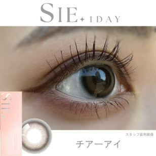 SIE 1day Cheer Eye シー ワンデー チアーアイ